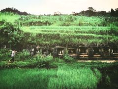 -星云文教馆