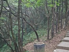 -梧桐山风景名胜区