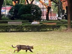 -上海交通大学医学院附属瑞金医院(总院)
