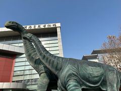 -河南自然博物馆