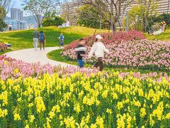 -人民公园(罗湖区)