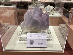 -天津自然博物馆