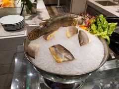-飨食汇全日制餐厅·昆山皇冠假日酒店(九方店)