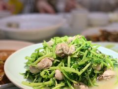 茼蒿炒海蛎子-日丰园海肠水饺·老字号大连海鲜(和平广场店)