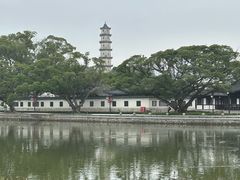 -江心屿景区