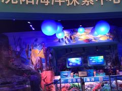 -沈阳海洋探索中心