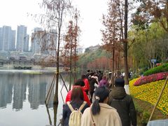 -重庆彩云湖湿地公园
