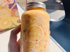 -野萃山·潮汕厚果汁(十亩地店)
