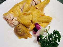 -顺德佬华侨城店·商务宴请·团建