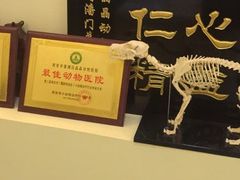 -瑞鹏宠物医院·爱宠堂·骨外专科(西荷分院)