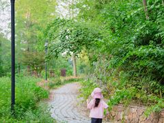 -素山寺森林公园