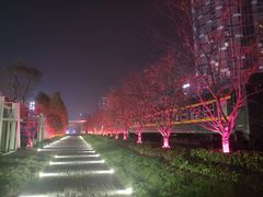 -新天地活力PARK