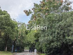 -上海吴淞炮台湾国家湿地公园