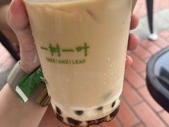 -一树一叶·福建茶档(石鼓路店)