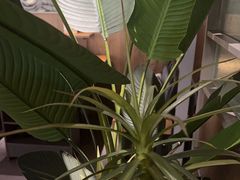 -湊湊火锅·茶憩(皇姑万象汇店)