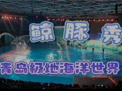 -海合安青岛极地海洋公园