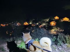 -北京山里寒舍度假酒店