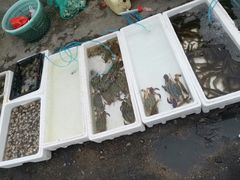 -青岛沙子口国家中心渔港