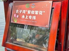 -西湖游船
