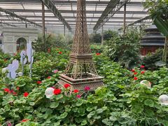 -南宫五洲植物乐园