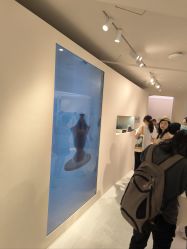 -SALON DE VANHADA