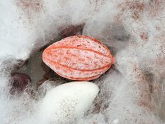 -视博茶点(美狮美高梅店)