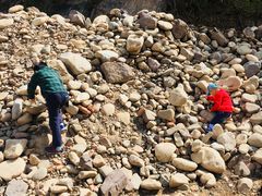 -杨树湾村村民委员会电动汽车充电站