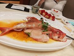 -陶陶居酒家(正佳广场店)