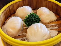 汇华阁四色虾饺皇-汇华阁中餐厅·粤菜早茶(汇华希尔顿逸林酒店)