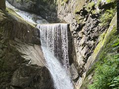 -牛背梁国家森林公园