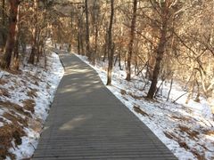 -帽儿山国家森林公园