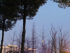 -眉山湿地公园(东坡区)