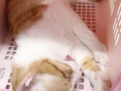 -天津前进宠物医院(前进道店)