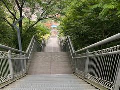 -佛山华盖山公园