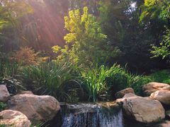 -大连植物园