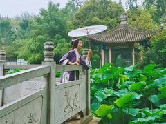 景点-莲湖公园