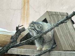 -青藏高原野生动物园