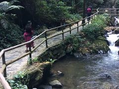 -莫里热带雨林景区