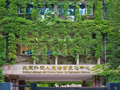 -三里屯东五街银杏大道