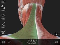 -锐动健身游泳(博地中心店)