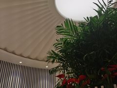 -LANN I 蘭 SPA(陆家嘴中心店)