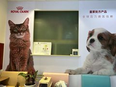 -瑞派申生动物医院·24H夜诊·国际动物医疗中心·骨外科(吴中路店)