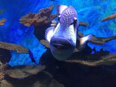 -多彩贵州城极地海洋世界