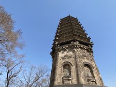 -高尔山公园