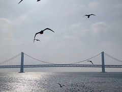 -星海广场