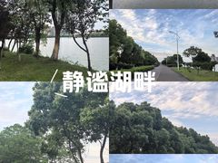 -艾溪湖湿地公园