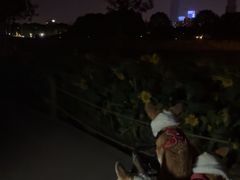 -苏州湾体育公园