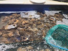 -海天盛宴新派海鲜自助餐厅(群力店)