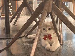 -黑胶星球(华发中城商都店)