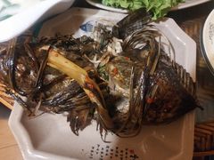 -多哥水傣味餐厅(司马巷店)